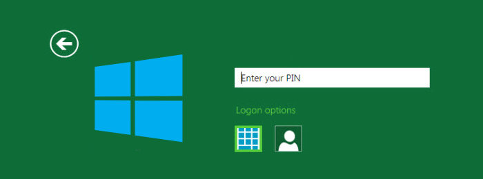 windows 8 pin login