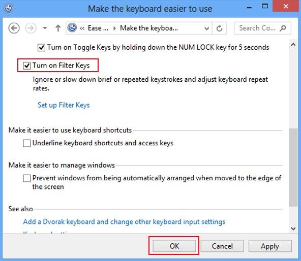 enable filter keys in windows 8