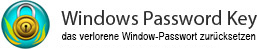 Windows password recovery software