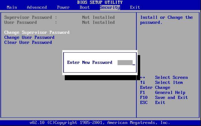 BIOS password