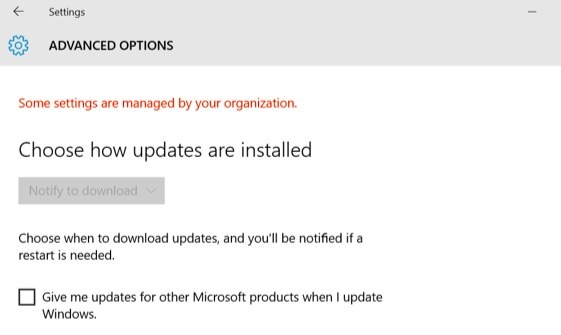 Windows Update advanced optionsin Win 10