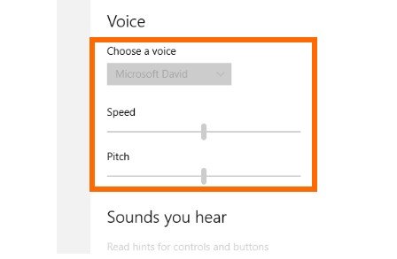 change voice on narrator