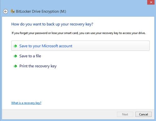 disk password protection registration key