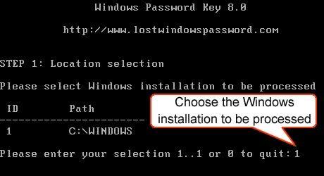 choose windows installation