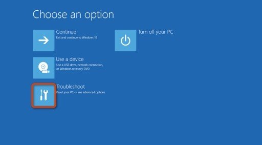 enter windows 10 troubleshooting option screen